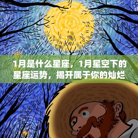 一月份星座运势揭秘，星空下的灿烂篇章开启属于你的好运之旅