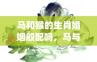 马与猴的生肖婚姻般配性探究，探寻生肖奥秘中的情感缘分