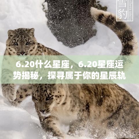 20星座运势揭秘，探寻属于你的星辰轨迹，掌握未来运势走向