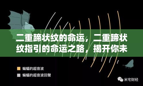 二重蹄状纹的命运揭秘，指引命运之路与未来神秘面纱的探寻