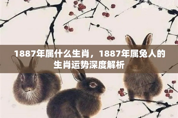 1887年属兔人的运势深度解析及生肖特点探究