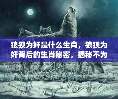 揭秘生肖秘密，狼狈为奸背后的星座与生肖之谜