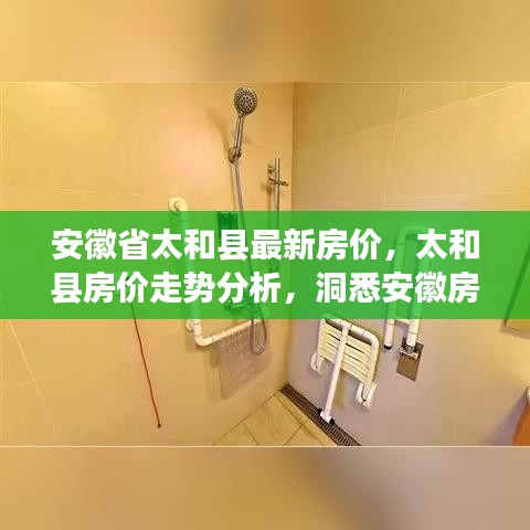 太和县最新房价动态与走势分析，洞悉安徽房价新动向