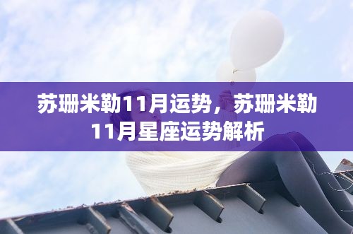 苏珊米勒11月星座运势深度解析，洞悉未来运势走向