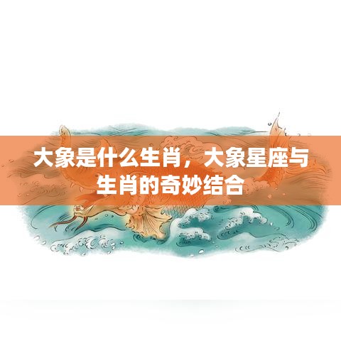 大象星座与生肖的奥秘结合探索