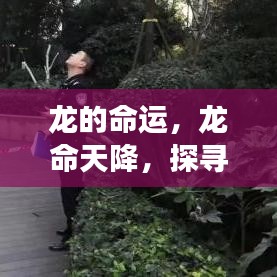 生肖龙，命运轨迹探寻与深层内涵解读