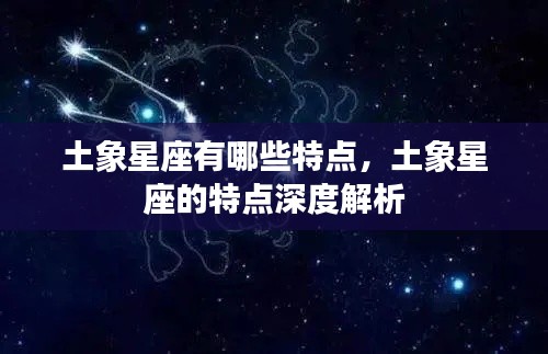 土象星座深度解析，独特性格与特点探究