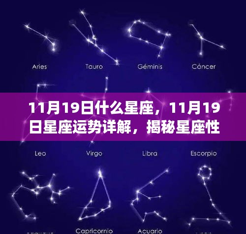 揭秘11月19日星座运势与性格魅力，星座走向大解析