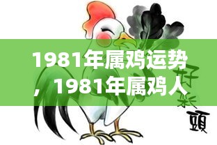 1981年属鸡人的运势概览与运势分析