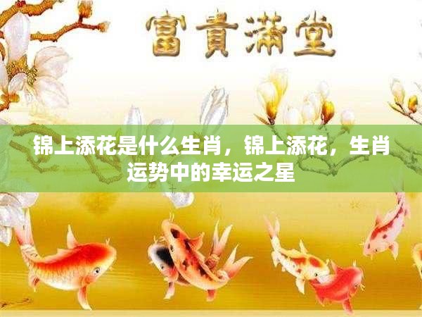 生肖运势中的幸运之星，锦上添花的生肖揭秘