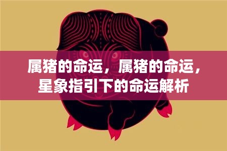 属猪人的命运解析与星象指引