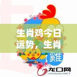 生肖鸡今日运势详解及运势预测