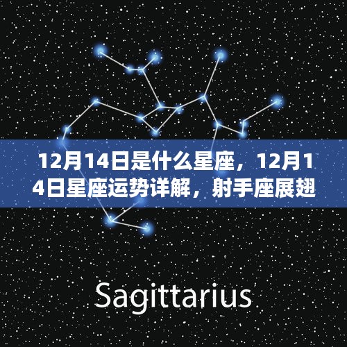 12月14日星座运势详解，射手座展翅高飞的日子