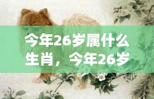 今年26岁属生肖运势展望与个性解析