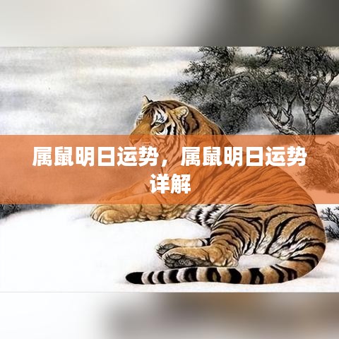 属鼠明日运势详解，明日运势展望与运势分析