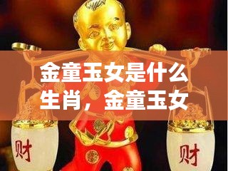 黄道星座与生肖奥秘揭秘，金童玉女的生肖运势探索