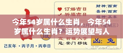 今年54岁属生肖运势分析及人生规划建议