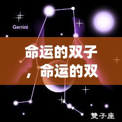 双子座命运解析，揭秘双子星运势与案例分析