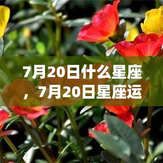 2025年1月5日 第8页