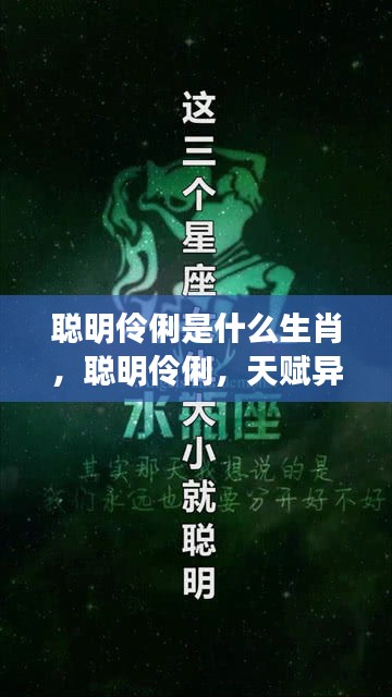 揭秘聪明伶俐天赋生肖，智慧之星大解密