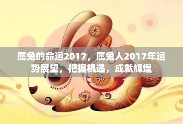 属兔人2017年运势展望，把握机遇，成就辉煌命运！