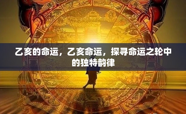 乙亥命运揭秘，探寻命运之轮中的独特韵律