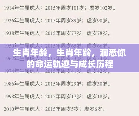 生肖年龄洞悉命运轨迹与成长历程揭秘