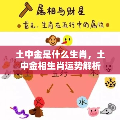 土中金相生肖运势解析，揭秘生肖运势与未来走向