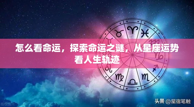 探索命运之谜，星座运势揭示人生轨迹的奥秘