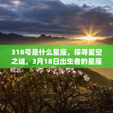 探寻星空之谜，揭秘3月18日出生者的星座运势与星座归属