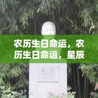 农历生日揭示人生轨迹，星辰之力解读命运密码