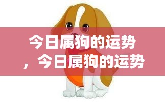 今日属狗运势展望，把握机遇，迎接挑战