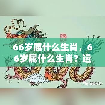 66岁属生肖运势解析