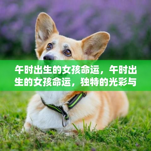 午时出生的女孩命运，独特魅力与无限潜能绽放光彩