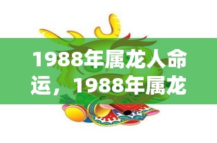 星辰指引下的辉煌人生，揭秘1988年属龙人的命运之路