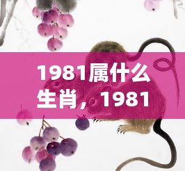 揭秘命运之轮，1981年属鸡人的生肖运势与机遇挑战洞察