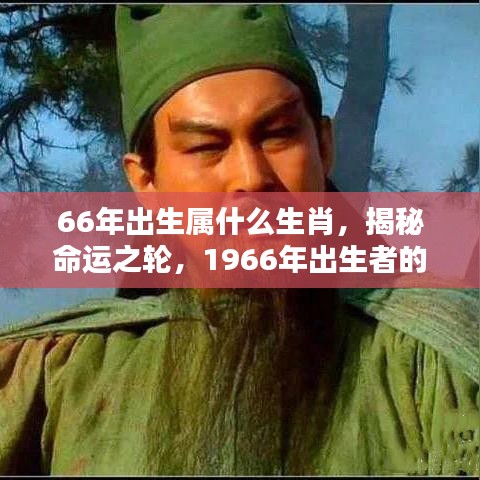 揭秘命运之轮，1966年出生者的生肖运势解析与生肖属性揭晓