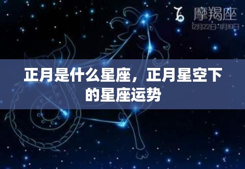 正月星空下的星座运势揭秘，属于你的星座运势展望