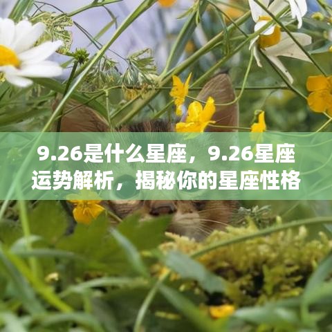 26星座运势深度解析，揭秘性格与未来走向