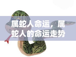 属蛇人的命运走势揭秘，宿命与机遇的交织