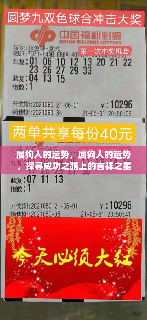 属狗人的吉祥运势与成功之路探寻