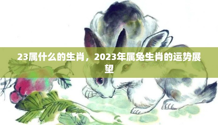 2023年属兔生肖运势展望与解析