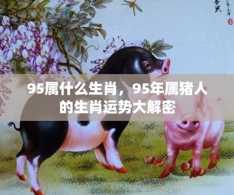 1995年属猪的生肖运势揭秘与个性特点分析