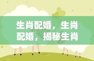 揭秘生肖配婚的奥秘，生肖与婚姻关系的探讨