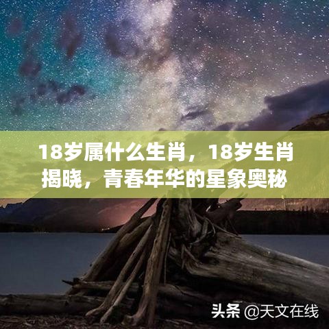 青春年华的生肖奥秘，揭秘18岁属相与星象之谜