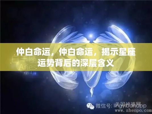 仲白命运揭秘，星座运势背后的深层内涵解析