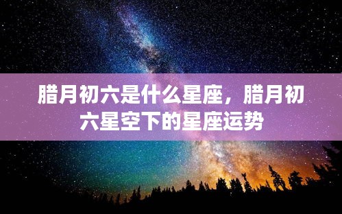 腊月初六星座运势解析，星空下的运势展望