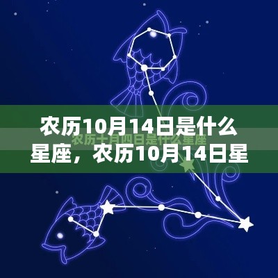 农历10月14日星座运势解密，探寻属于你的星辰轨迹