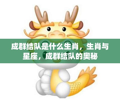 生肖与星座揭秘，成群结队背后的生肖奥秘