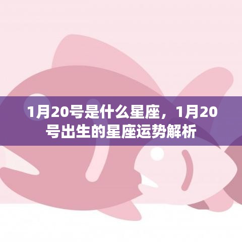 1月20号星座运势解析，摩羯座的特点与运势展望